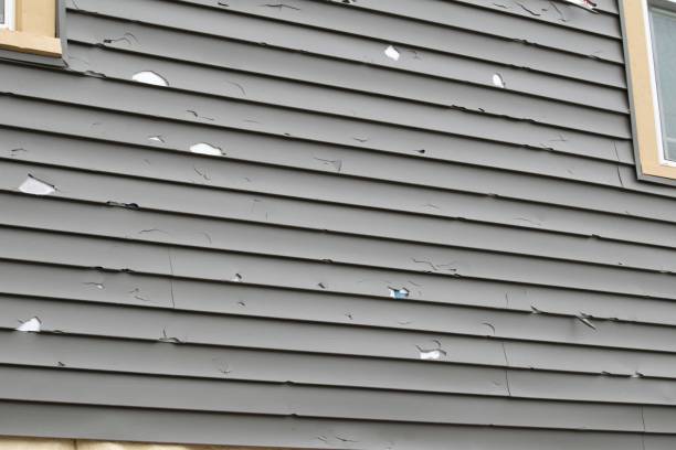 Best Siding for New Construction  in Bigfoot, TX